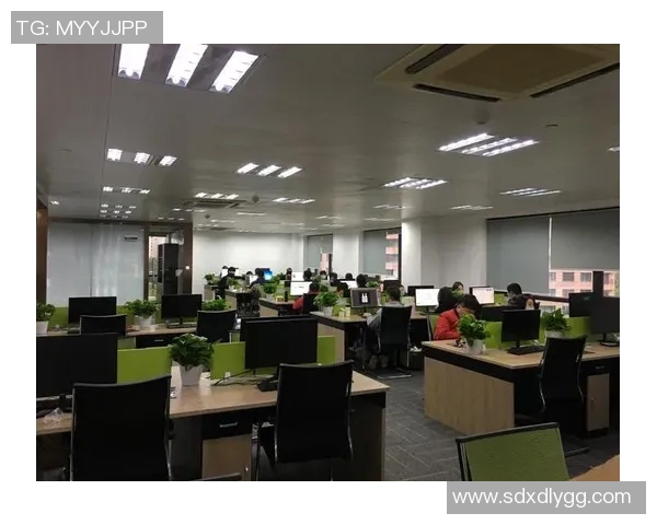 深入分析杭州羽毛球队的运营策略与发展模式探讨