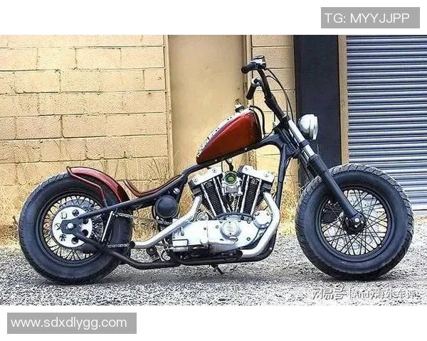 扎哈雷足球的崛起与发展：探索这项运动背后的激情与魅力